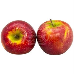 Apple Cortland