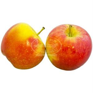 Apple Honey Crisp