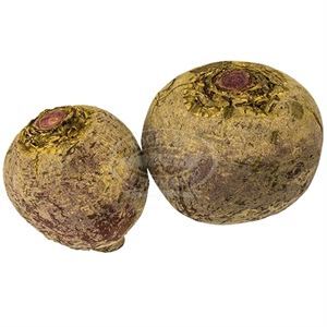 Beets