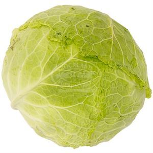 Cabbage Green