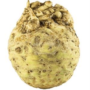 Celery Knob