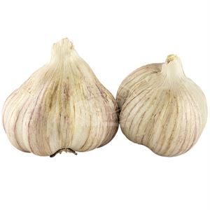 Garlic, 1 Ct