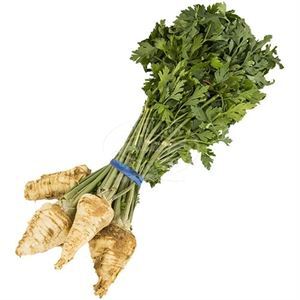 Parsley Roots, 1 Bunch