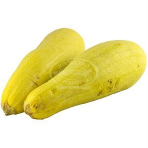 Squash Yellow