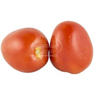 Tomatoes Plum