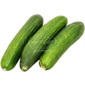 Cucumbers Persian