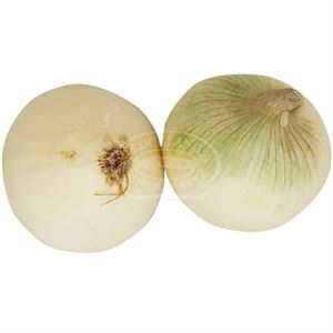 Onions White, 1 Ct
