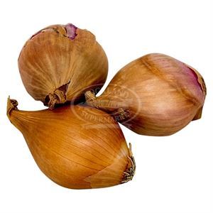 Onion Shallots
