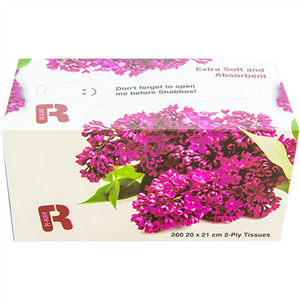 R-Kay Extra Soft Facial Tissues 2 Ply, 260 Ct