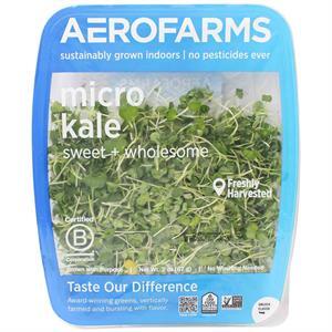 Aerofarms Micro Kale, 2 Oz