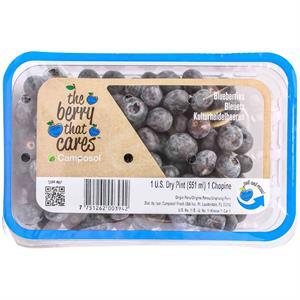 Nature's Partner Blueberries