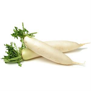 Radish, White